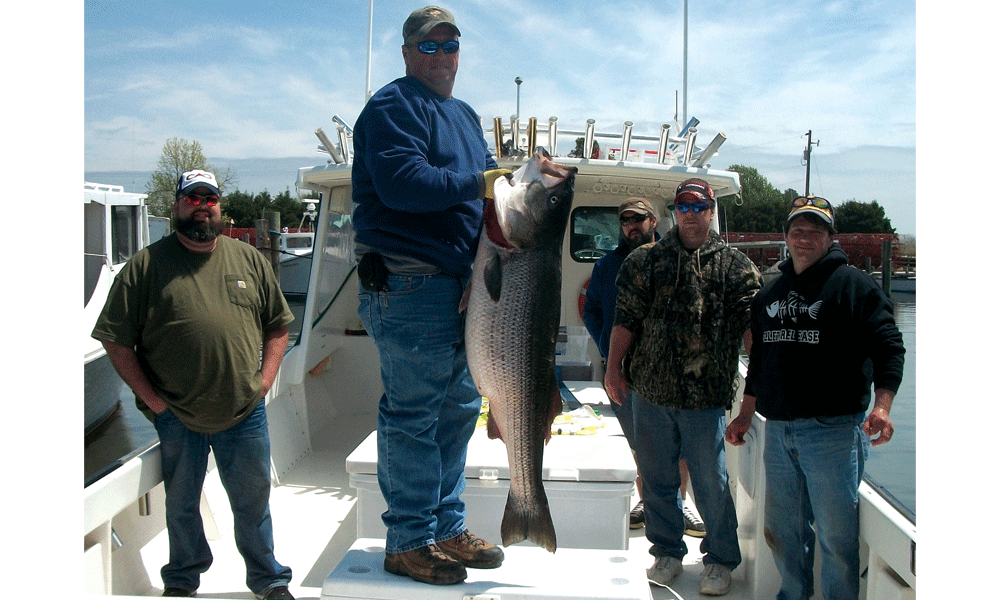 Chesapeake Bay Fishing